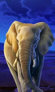 African Elephant